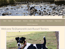 Tablet Screenshot of diamondajackrussell.com